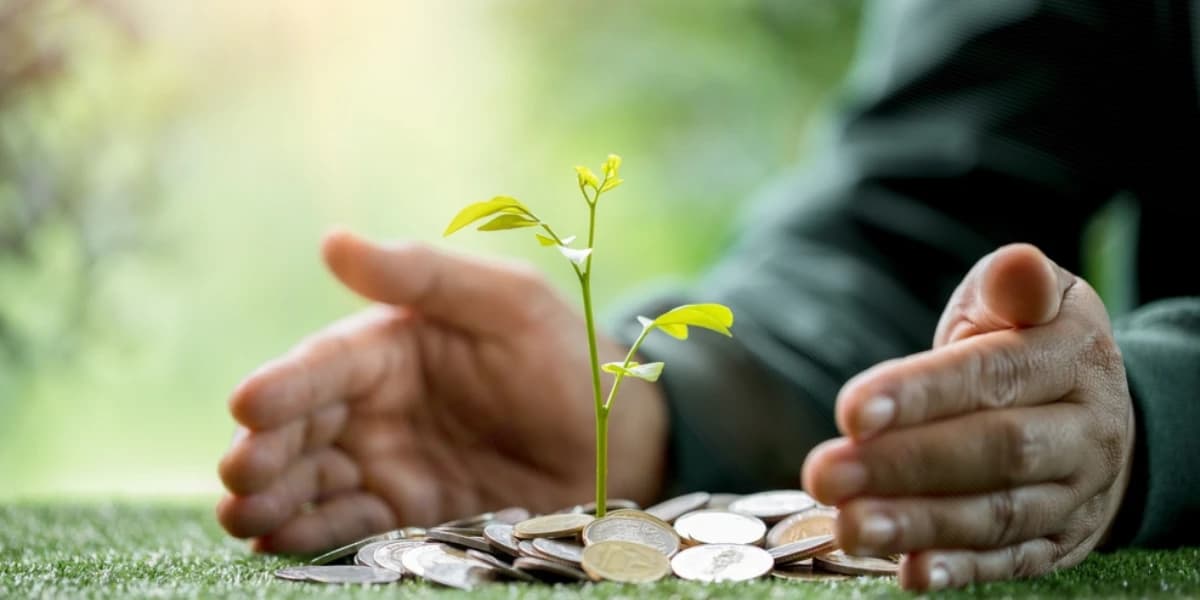 Çiftçi Belgesi Nedir? Çiftçi Kredisi Başvuru Şartları Nelerdir?